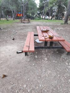 Los merenderos de la pinada de La Canyada han aparecido llenos de basura y cristales rotos, tras el fin de semana. Esta es la imagen que presenta este céntrico espacio verde y que según testigos es protagonizado por decenas de vecinos que se reúnen, todos los fines de semana, sin distancia de seguridad, en grupos grandes, bebiendo y con la música alta.