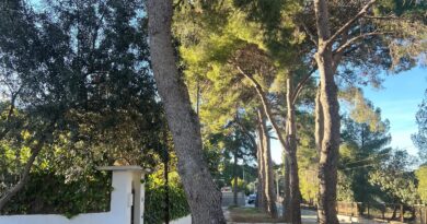 n muchas calles tanto de Montecañada,  La Vallesa, como de El Plantío o zonas más antiguas como La Canyada