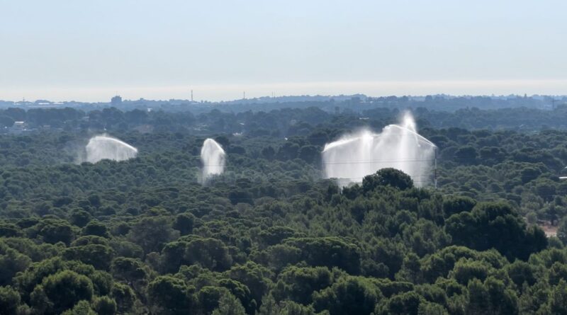 Paterna refuerza la vigilancia y prevención de incendios forestales en La Vallesa y en su interfaz urbano forestal ante el aumento de temperaturas