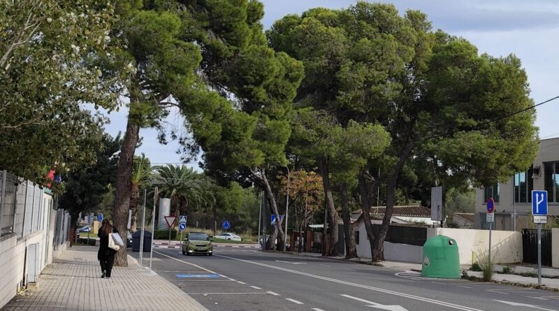 Vecinos de La Canyada se movilizan para frenar la tala de 52 árboles