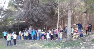 'El PSOE de Paterna i Vox s'alien contra els Refugis Climàtics', segons la Coordinadora per a la Protecció de Les Moles