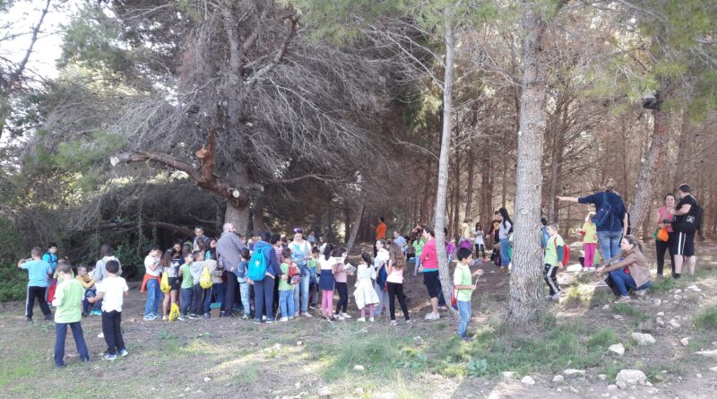 'El PSOE de Paterna i Vox s'alien contra els Refugis Climàtics', segons la Coordinadora per a la Protecció de Les Moles