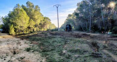Compromís per Paterna denuncia la tala indiscriminada baix les línies d’alta tensió al Parc Natural del Túria