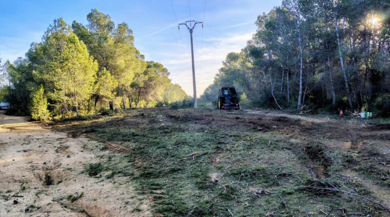 Compromís per Paterna denuncia la tala indiscriminada baix les línies d’alta tensió al Parc Natural del Túria