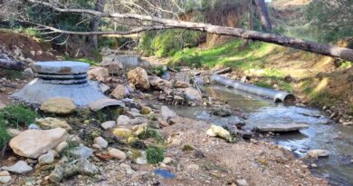 Podemos Paterna denuncia ante la CHJ el vertido de aguas fecales en el barranco de La Font y alerta de un grave riesgo sanitario en La Canyada