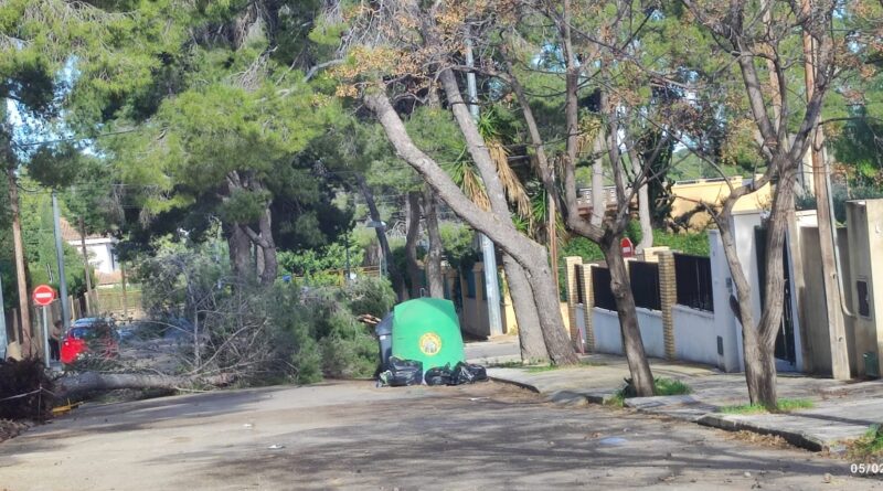 han provocado la caída de pinos y grandes ramas en La Canyada y en otras zonas cercanas, generando momentos de preocupación entre los vecinos y obligando a intervenir a l
