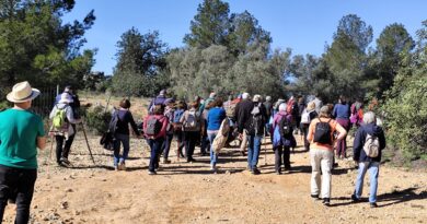 La asociación vecinal de Campament impulsa un paseo botánico-cultural por el Barranc de la Font con 40 participantes