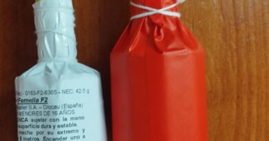 Paterna se convierte en la primera ciudad en contar con femelletas infantiles certificadas para la Cordà Fadrins