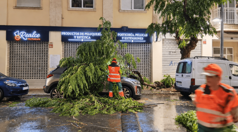 Paterna recobra la normalidad tras registrar más de 82 l/m² y 70 incidencias por el fuerte temporal