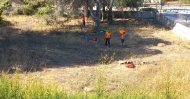 Compromís exigeix a Paterna complir l’Ordenança d’Arbratge i fer públiques les tales i plantacions