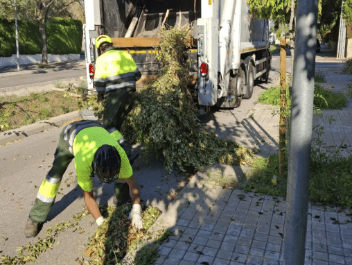 Paterna retira 140 toneladas de poda en cinco días en La Canyada